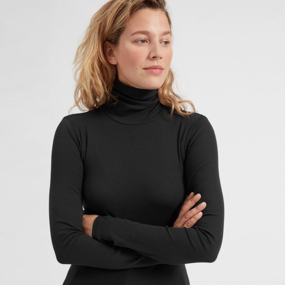 Everlane Micro Rib Turtleneck
